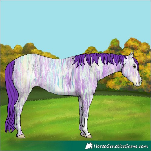 Horse Color:Watercolor Bay Ice 
