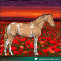 Horse Color:White Spotted Chestnut Tobiano