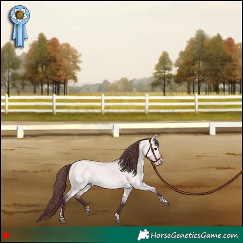 Horse Color:Platinum Chocolate Bay Dun Tobiano 