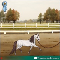 Horse Color:Platinum Chocolate Bay Dun Tobiano 