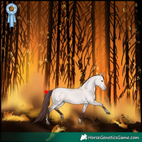Horse Color:Platinum Chocolate Bay Dun Tobiano
