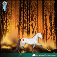 Horse Color:Platinum Chocolate Bay Dun Tobiano