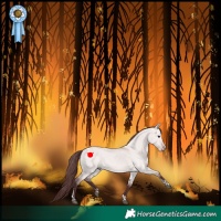 Horse Color:Platinum Chocolate Bay Dun Tobiano