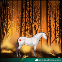 Horse Color:Platinum Chocolate Bay Dun Tobiano 