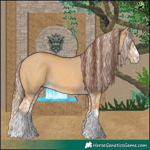 Horse Color:Red Dun Splash and Palomino Dun Splash