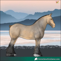 Horse Color:Buckskin Varnish 