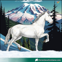 Horse Color:Palomino Dun Frame Near Leopard