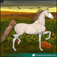 Horse Color:Gold Champagne Dun Splash  and Gold Champagne Dun Splash 