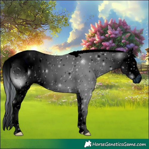 Horse Color:ERROR: UNKNOWN ANOMALY