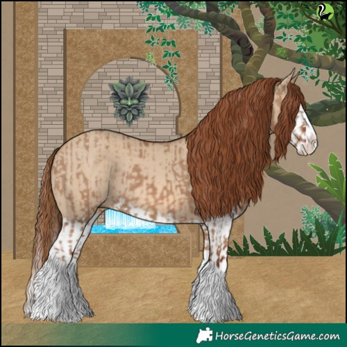 Horse Color:Red Dun Splash  and Red Dun Splash 
