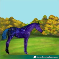 Horse Color:ERROR: UNKNOWN ANOMALY