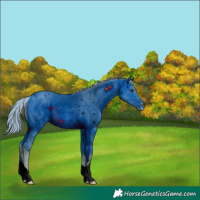 Horse Color:ERROR: UNKNOWN ANOMALY