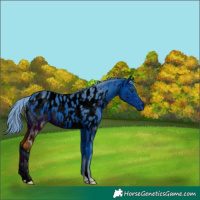 Horse Color:ERROR: UNKNOWN ANOMALY