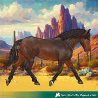 Horse Color:Bay 