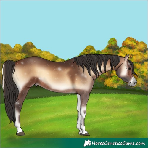 Horse Color:Brown Onyx 
