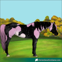 Horse Color:Void Watercolor Buckskin Splash Tobiano 