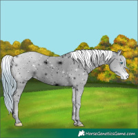 Horse Color:ERROR: UNKNOWN ANOMALY