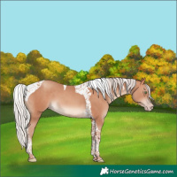 Horse Color:Silver Sable Champagne Tobiano 