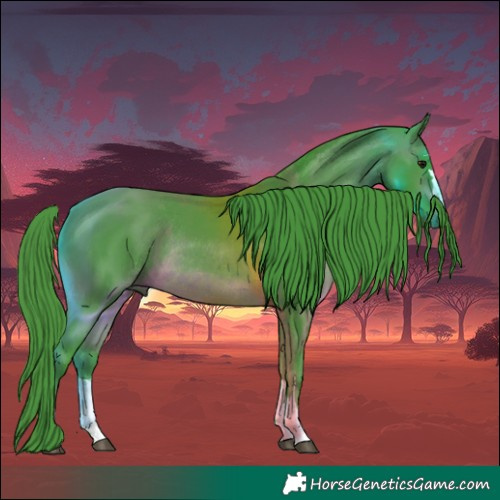Horse Color:Watercolor Brown Rabicano 