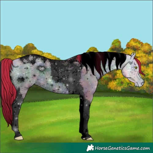 Horse Color:ERROR: UNKNOWN ANOMALY