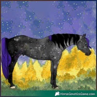 Horse Color:Void Watercolor Midnight Blue Onyx Ice Splash Tobiano 
