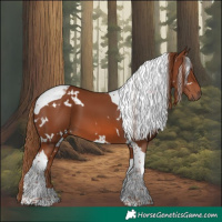 Horse Color:White Spotted Chestnut Tobiano