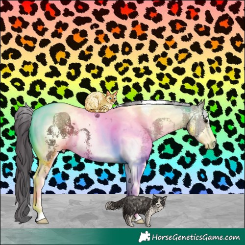 Horse Color:Bay Ice Sabino Tobiano Rabicano 