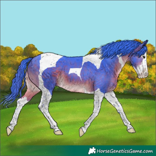 Horse Color:Watercolor Brown Splash Tobiano