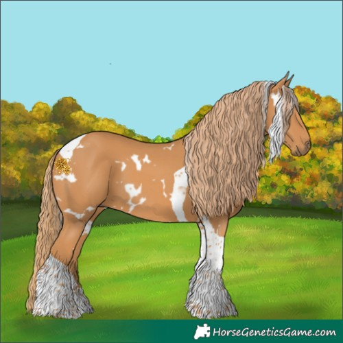 Horse Color:White Spotted Chestnut Tobiano 