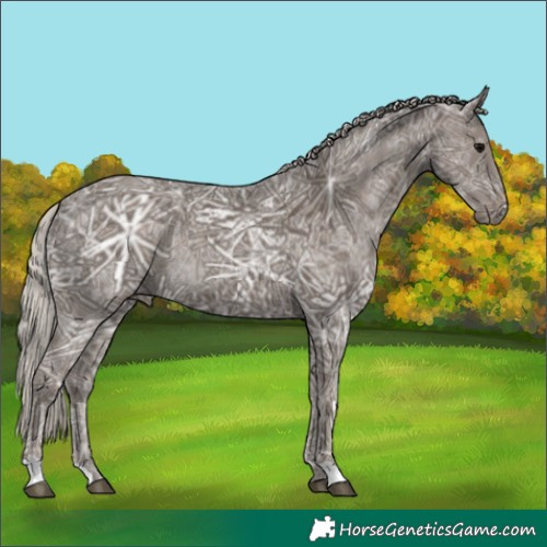 Horse Color:Silver Black Ice 