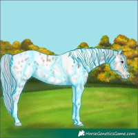 Horse Color:Thunderstruck Silver Buckskin Ice Onyx Tobiano Blanket 