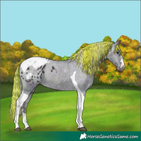 Horse Color:Painted Watercolor Midnight Brown Ice Onyx Tobiano Appaloosa 