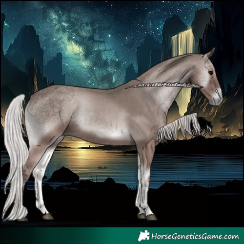 Horse Color:Void Platinum Silver Blue Onyx 