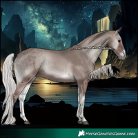 Horse Color:Void Platinum Silver Blue Onyx