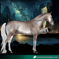 Horse Color:Void Platinum Silver Blue Onyx 
