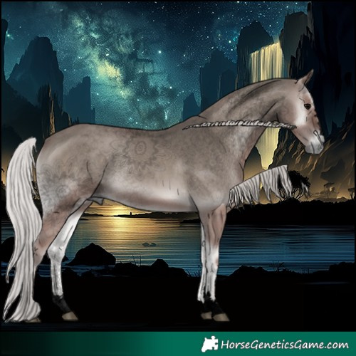 Horse Color:Void Platinum Silver Blue Onyx 