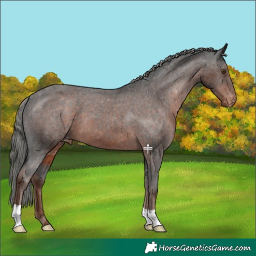 Horse Color:Liver Chestnut Mushroom Varnish 