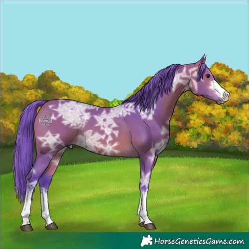 Horse Color:Watercolor Bay Ice 
