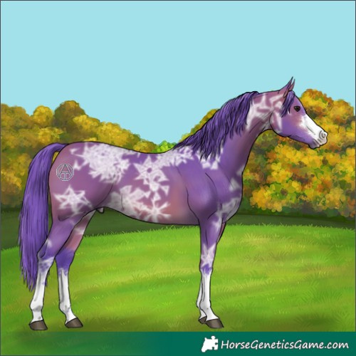 Horse Color:Watercolor Bay Ice 