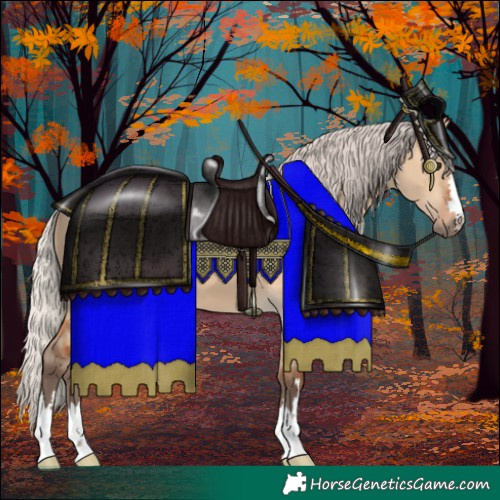 Horse Color:Silver Bay Dun 