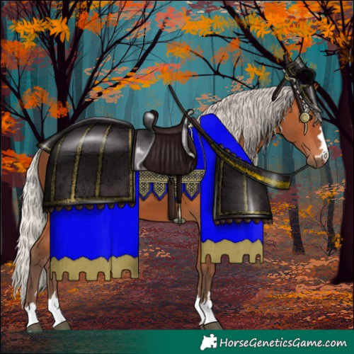 Horse Color:Silver Bay 