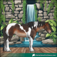 Horse Color:Brown Tobiano 