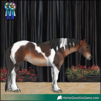 Horse Color:Brown Tobiano 