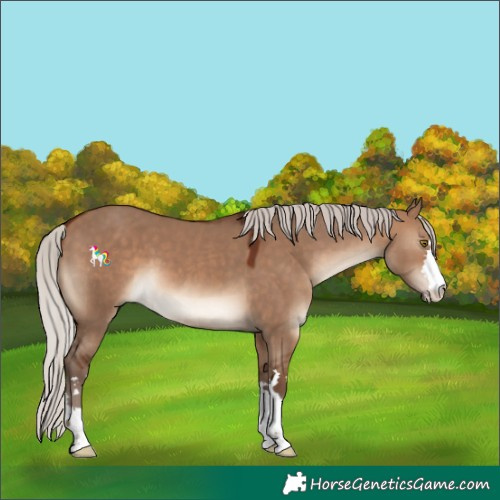 Horse Color:Silver Brown Dun 