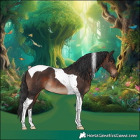 Horse Color:Brown Tobiano Rabicano
