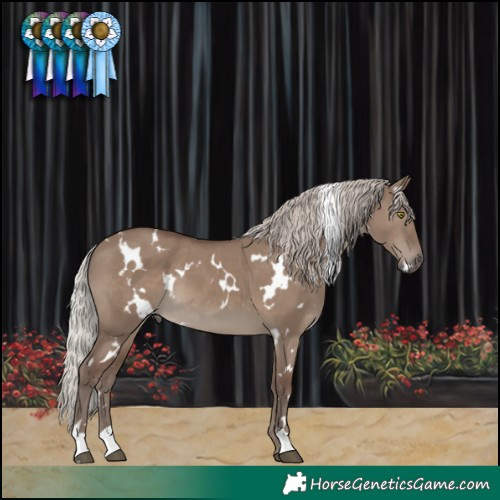 Horse Color:White Spotted Silver Grullo 