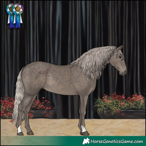 Horse Color:Silver Black 