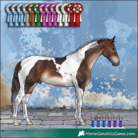 Horse Color:Brown Tobiano