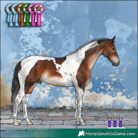 Horse Color:Brown Tobiano 