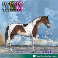 Horse Color:Brown Tobiano